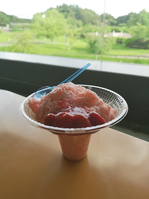 IMG_20180709_170124.jpg